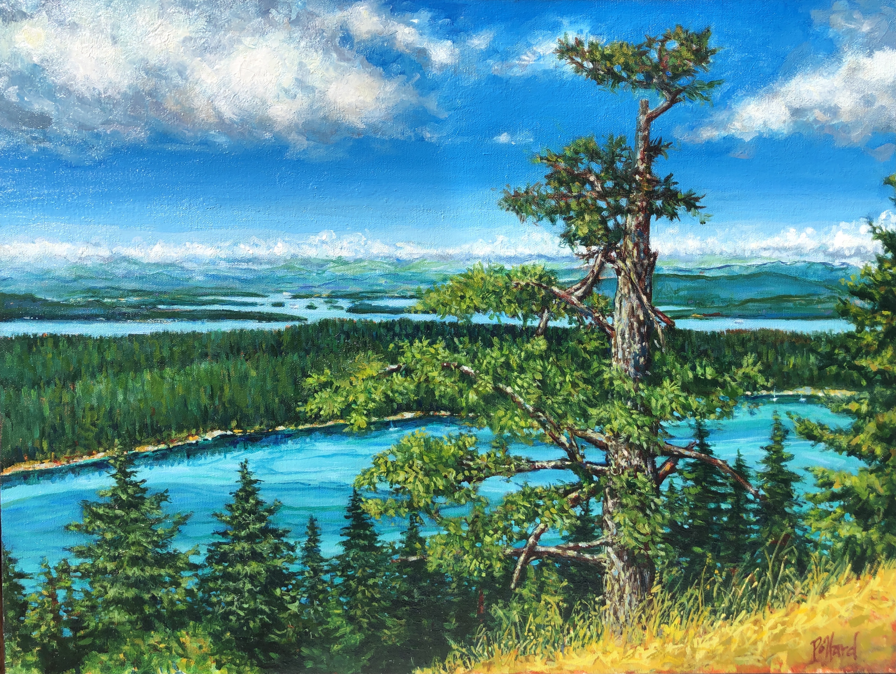 Mount Norman is a landscape painting of the view of Bedwell Harbour with an old growth Douglas fir standing tall at the precipice.  