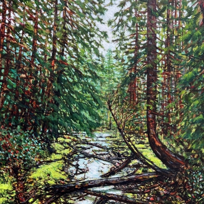 Song of the Forest | Kim Pollard | Canadian Fine Art | Landscape Painting | British Columbia 