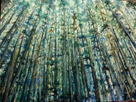 The Trees | Landscape Paintings | Kim Pollard | Canadian Artist | British Columbia | West Coast | Rainforest